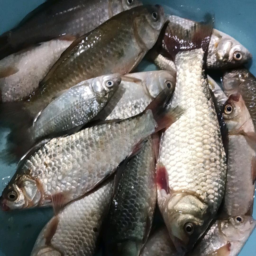 小凡
