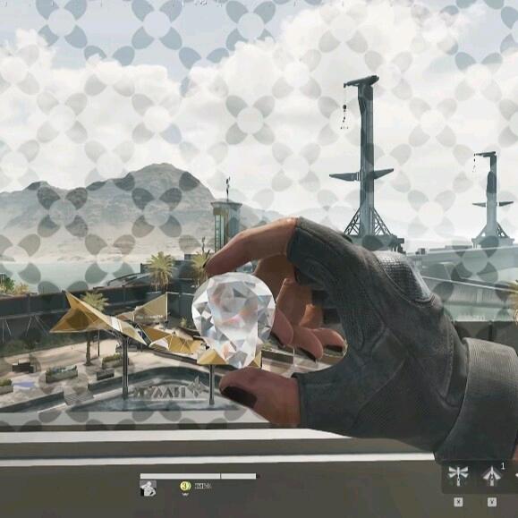 非洲种植园园长