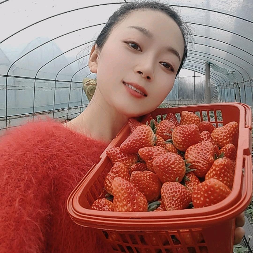 绵竹种草莓的熊二娃