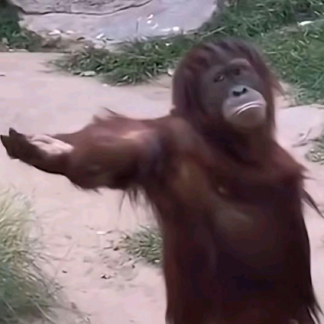 大洋电竞(北海路店)小袁