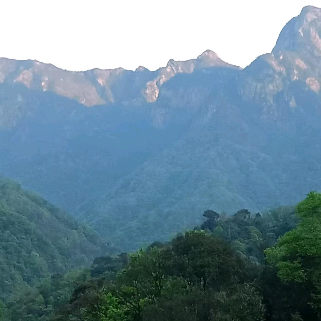 @误入镜途辉煌哥