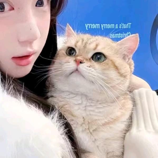 拾七
