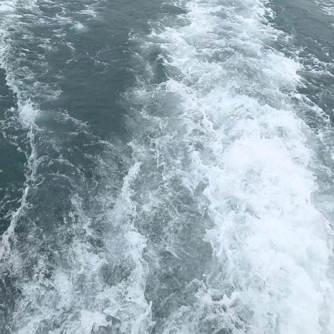刘严