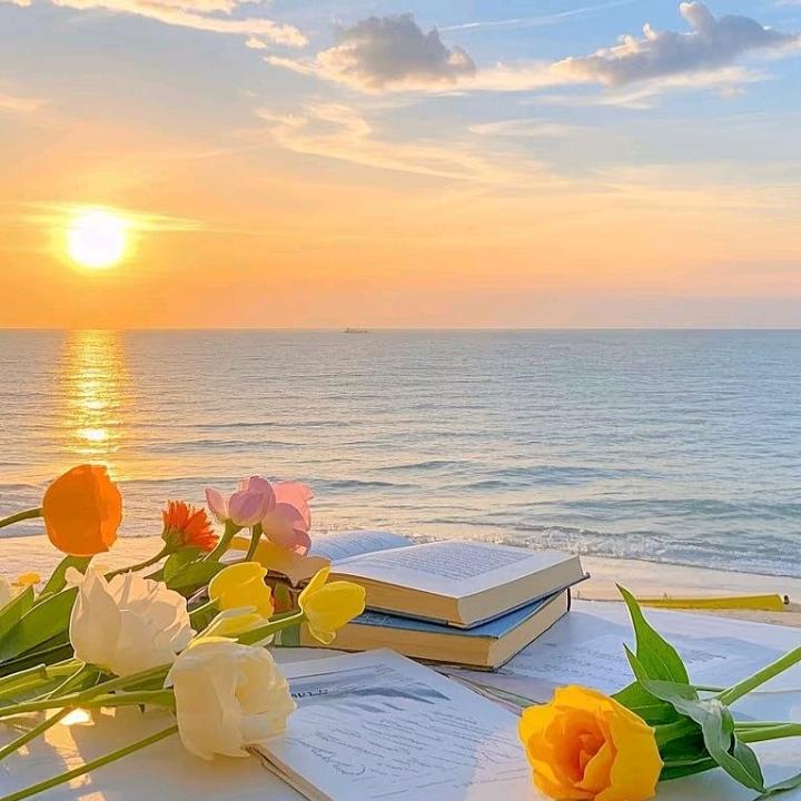 ✨落书📚