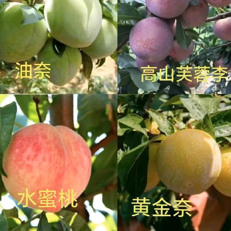 北星生鲜
