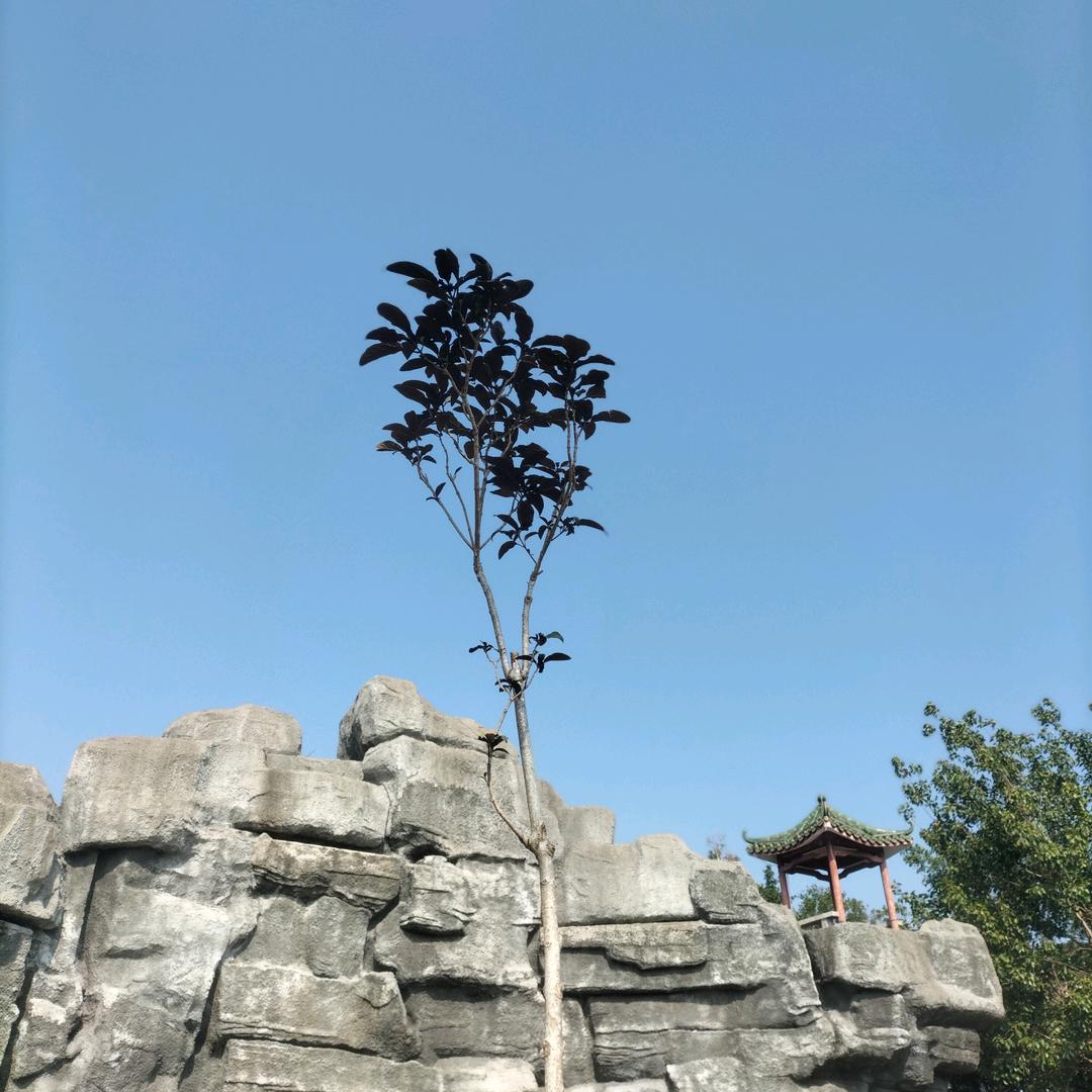 举报