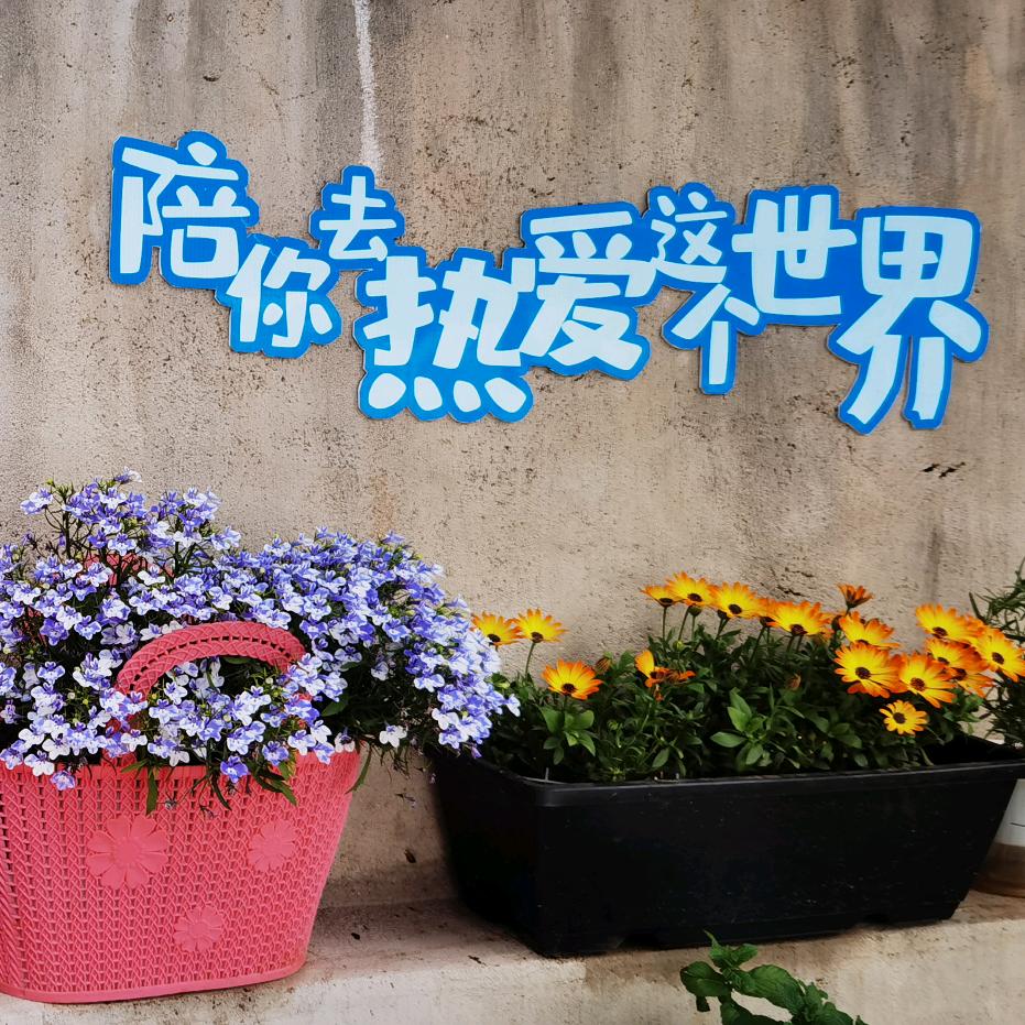 吴歌雨晴
