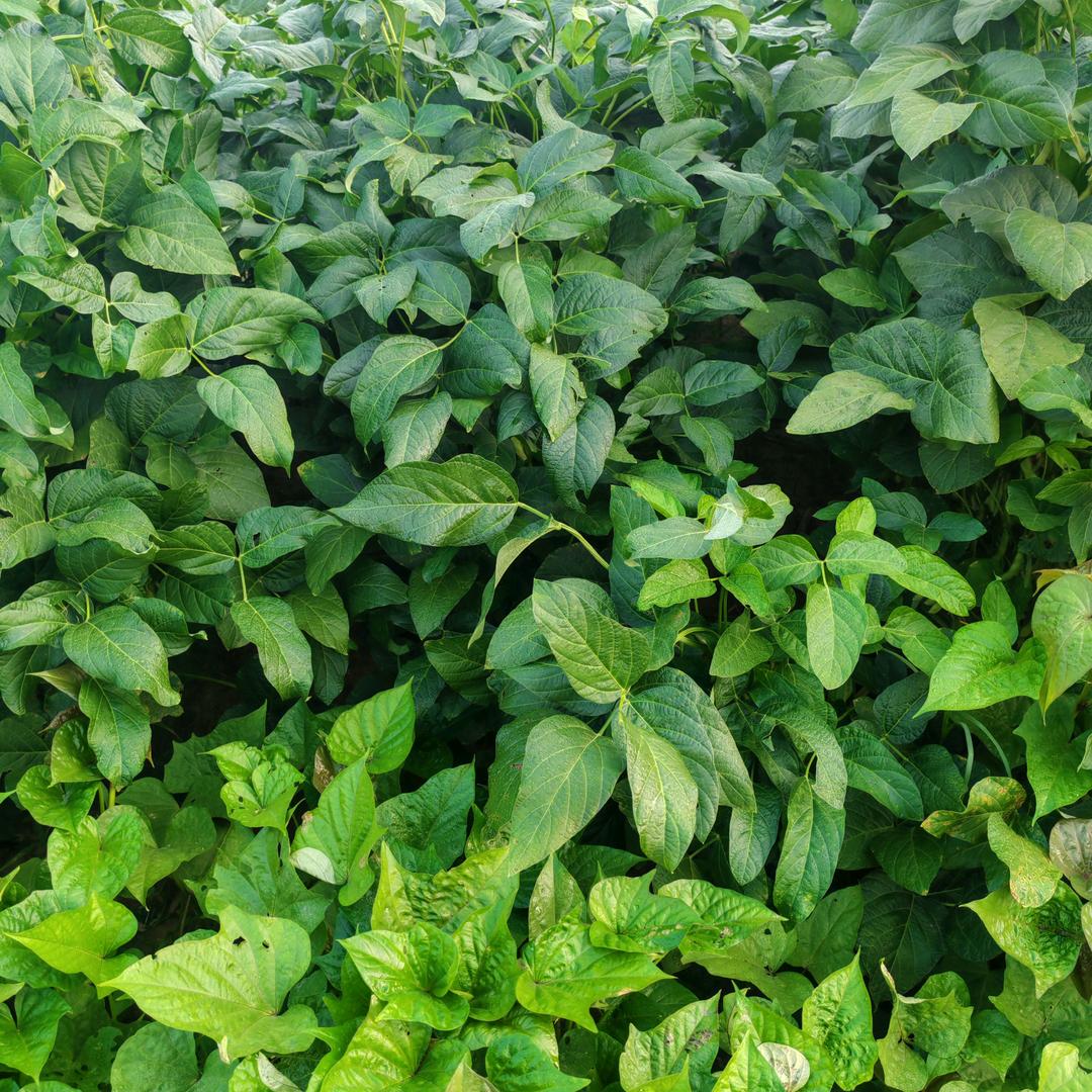 鑫万众劳务-莹莹