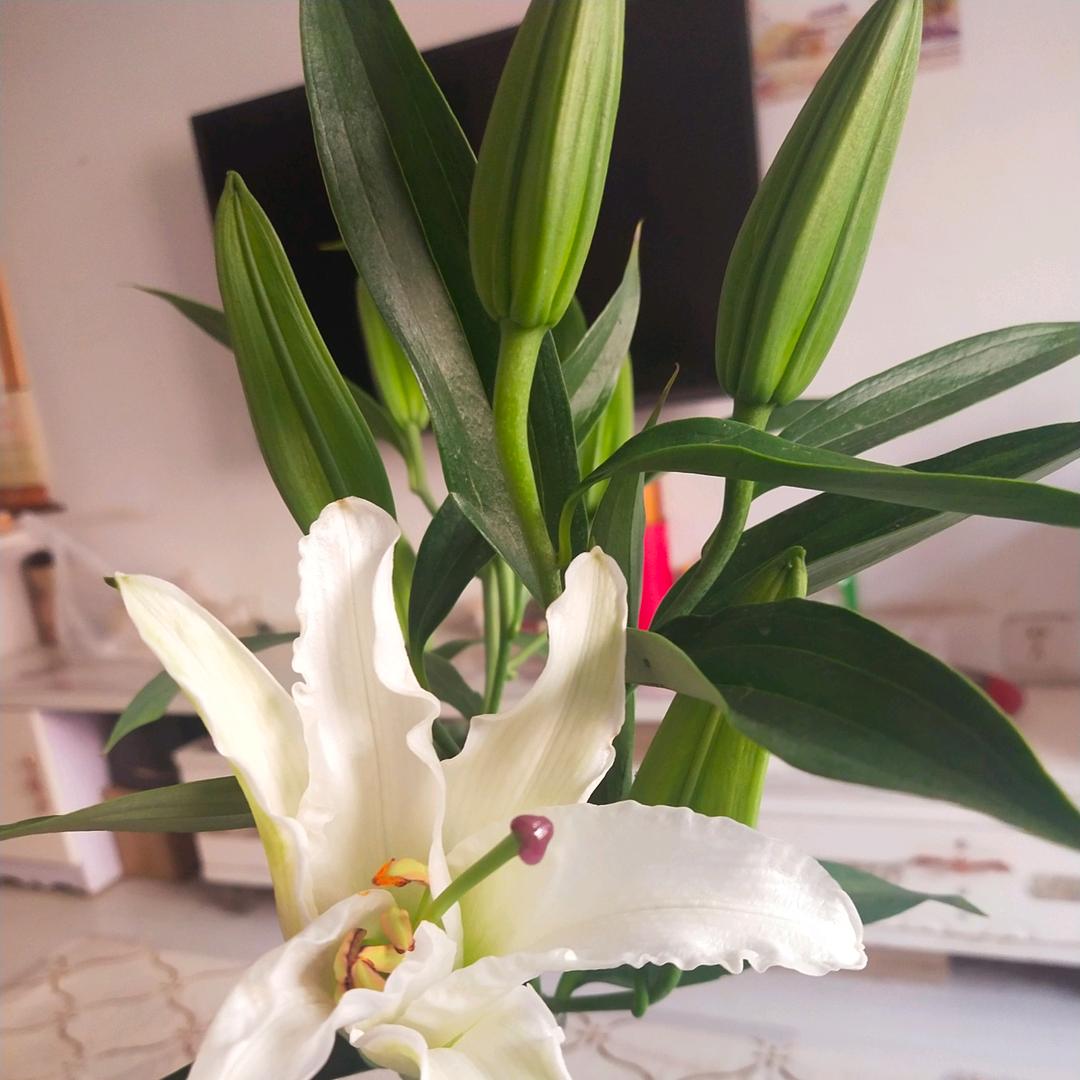 没有道理可讲呀