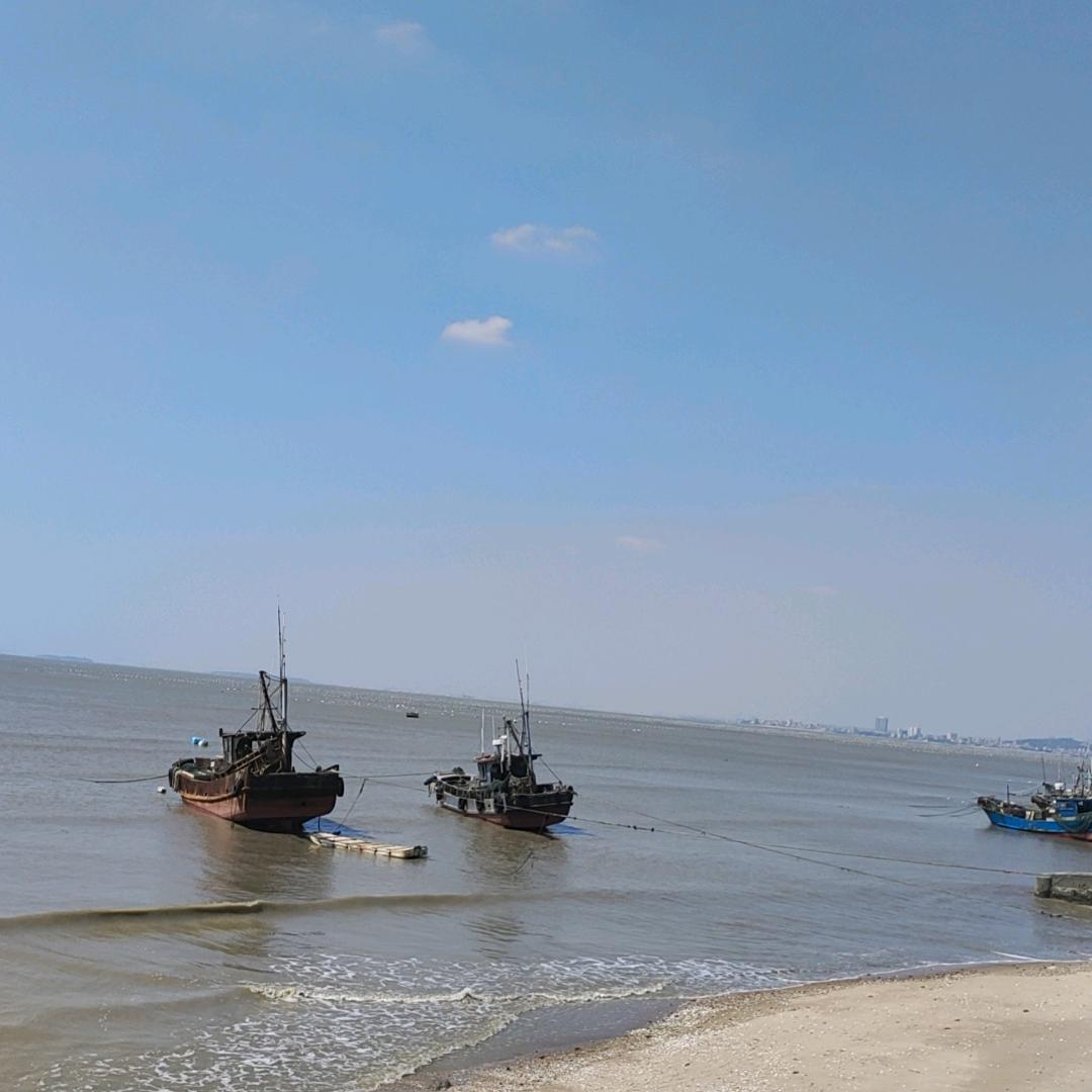 小九