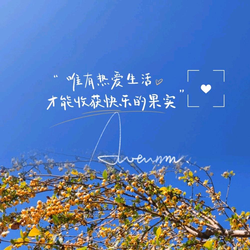 蓉儿蓉