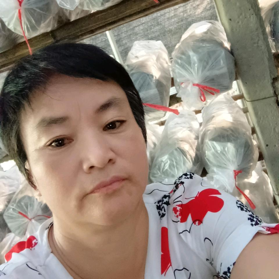 凤凰