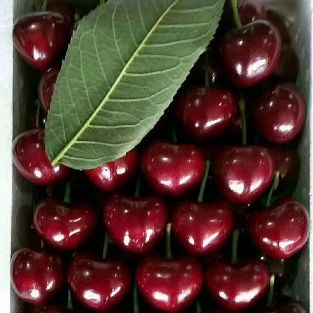 🍒樱桃