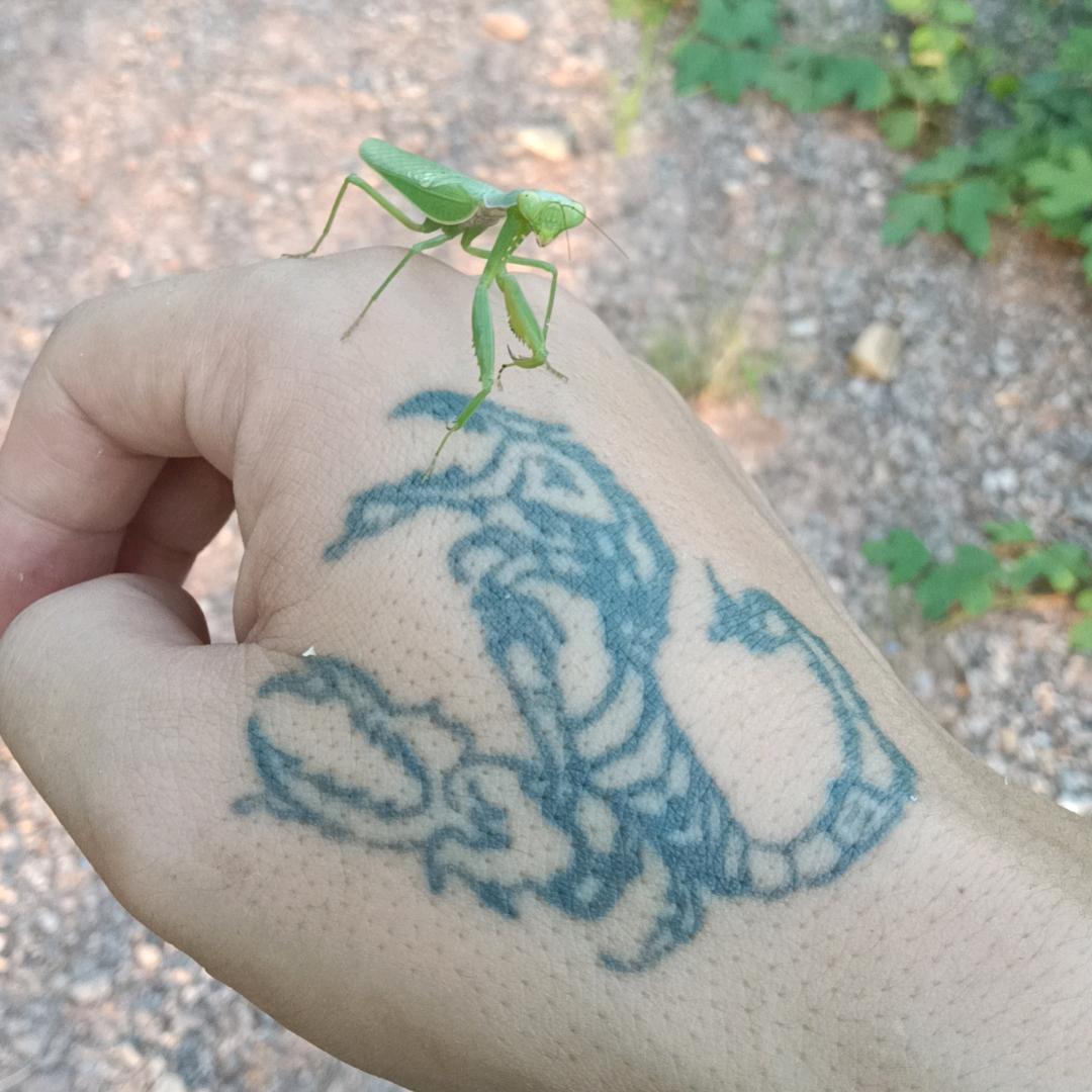 捡破烂的。
