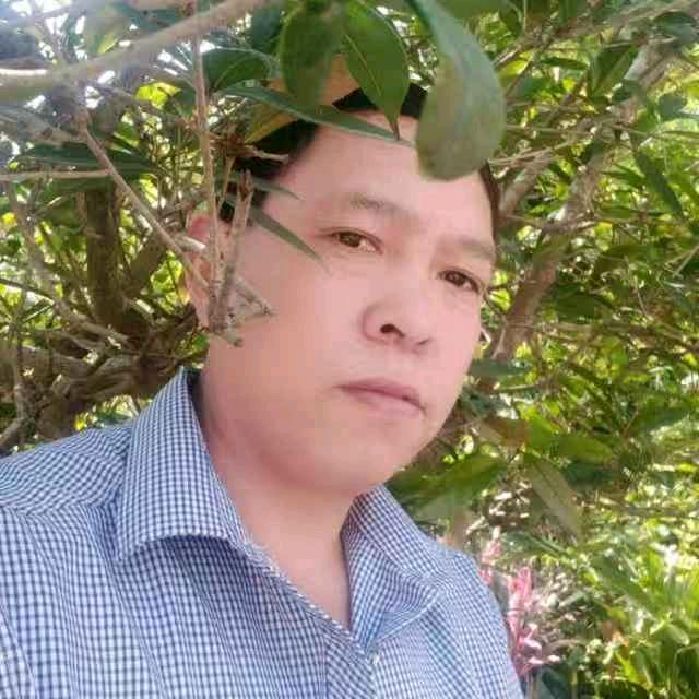 祗对你温柔