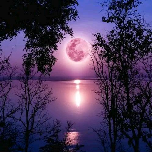 ༺༽༾ཊ封心罖亽ཏ༿༼༻