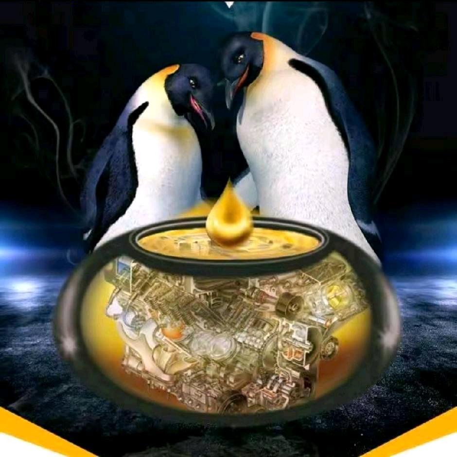 车码头小杨总