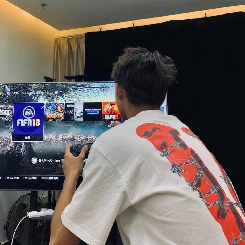 是一只阳