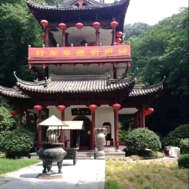 金哥《看世界》