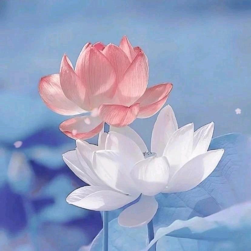 拈花微笑