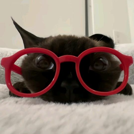 🤓