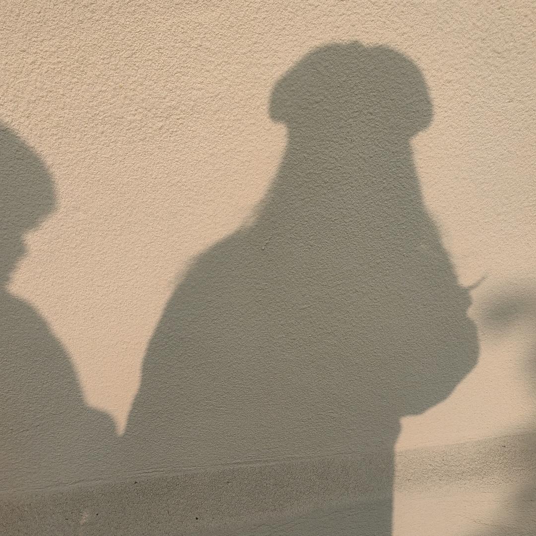 七七教主自己玩
