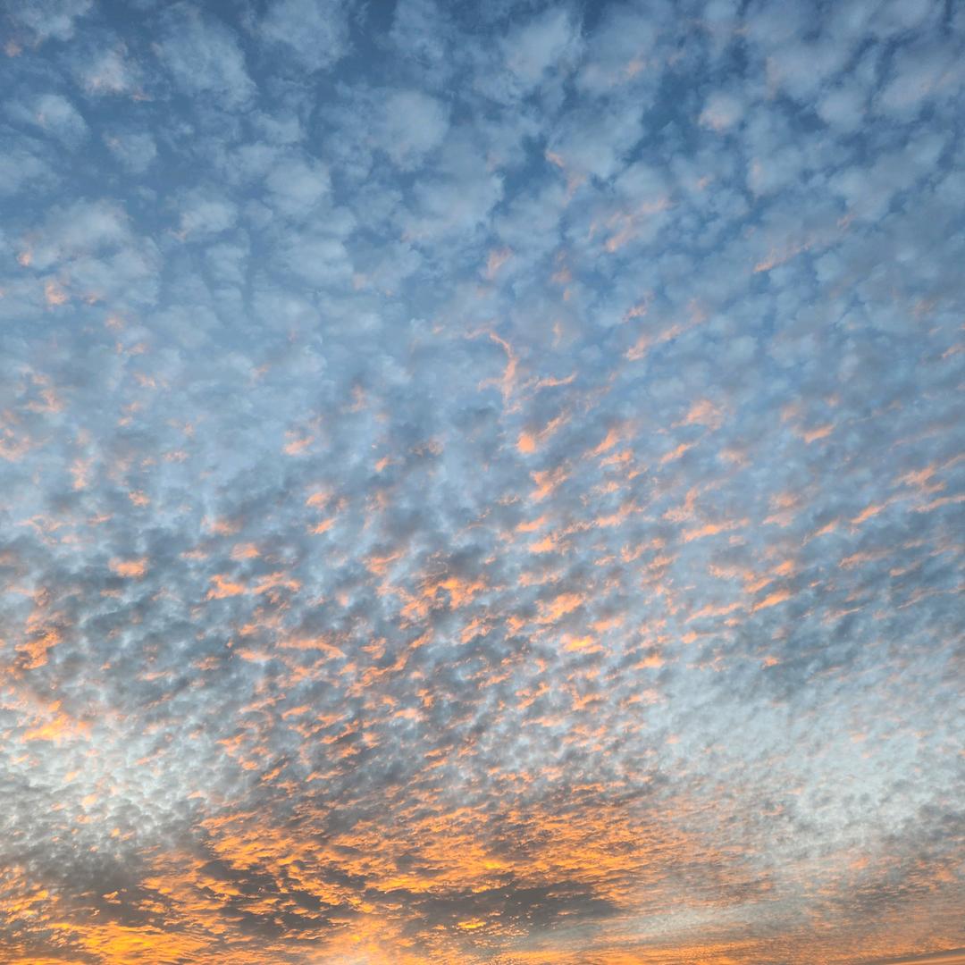 七彩蒜头美食铺