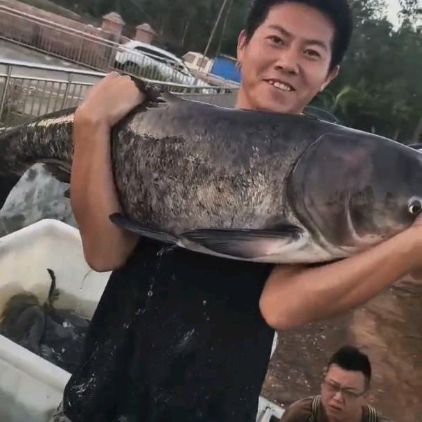 小邢