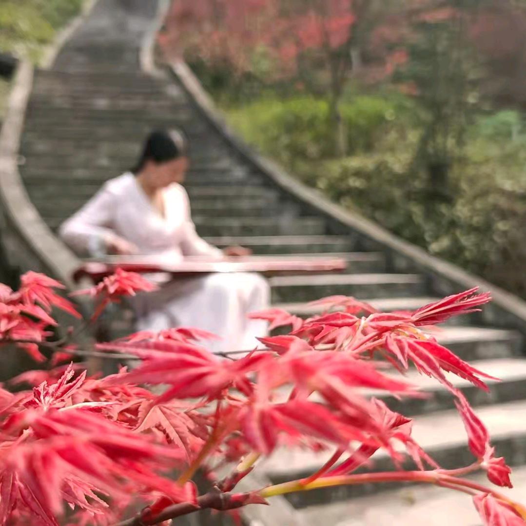 子汵