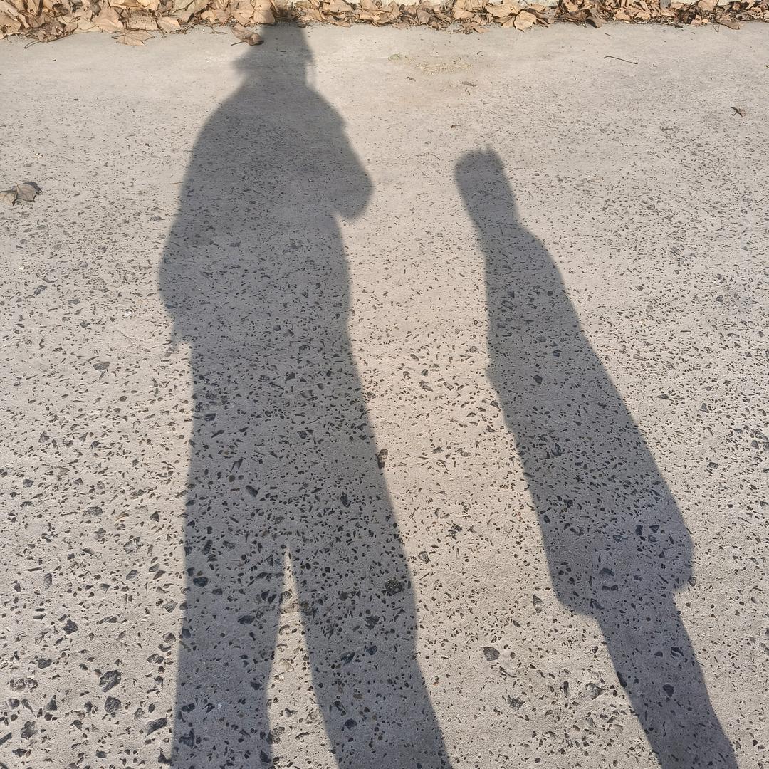 小庞在许昌（可跑腿）