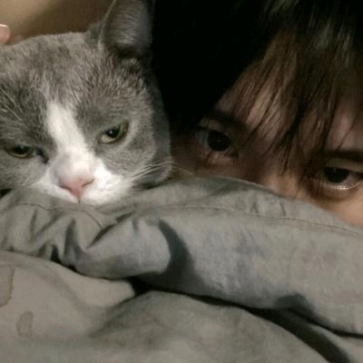 ヤLeao