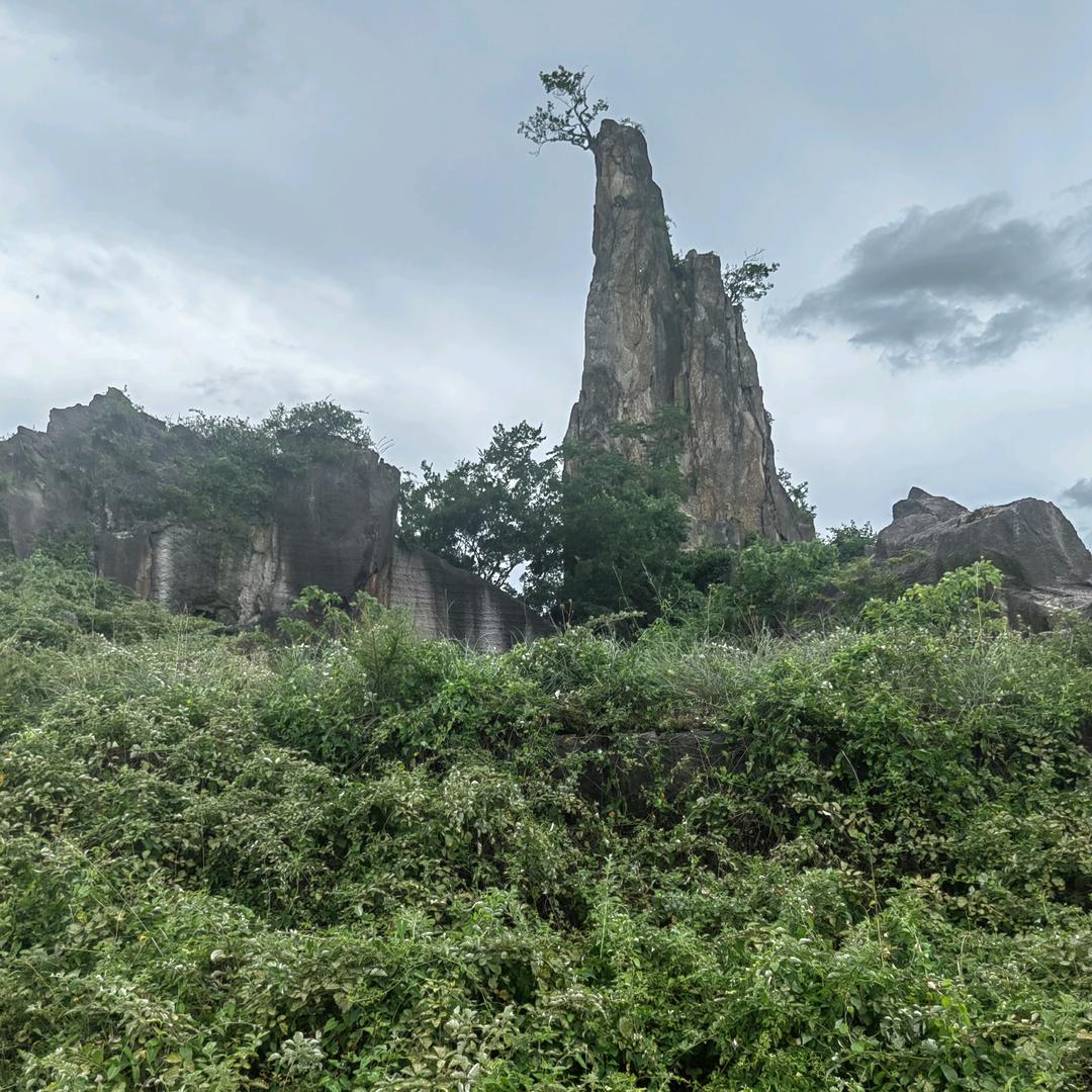 习惯一切的习惯