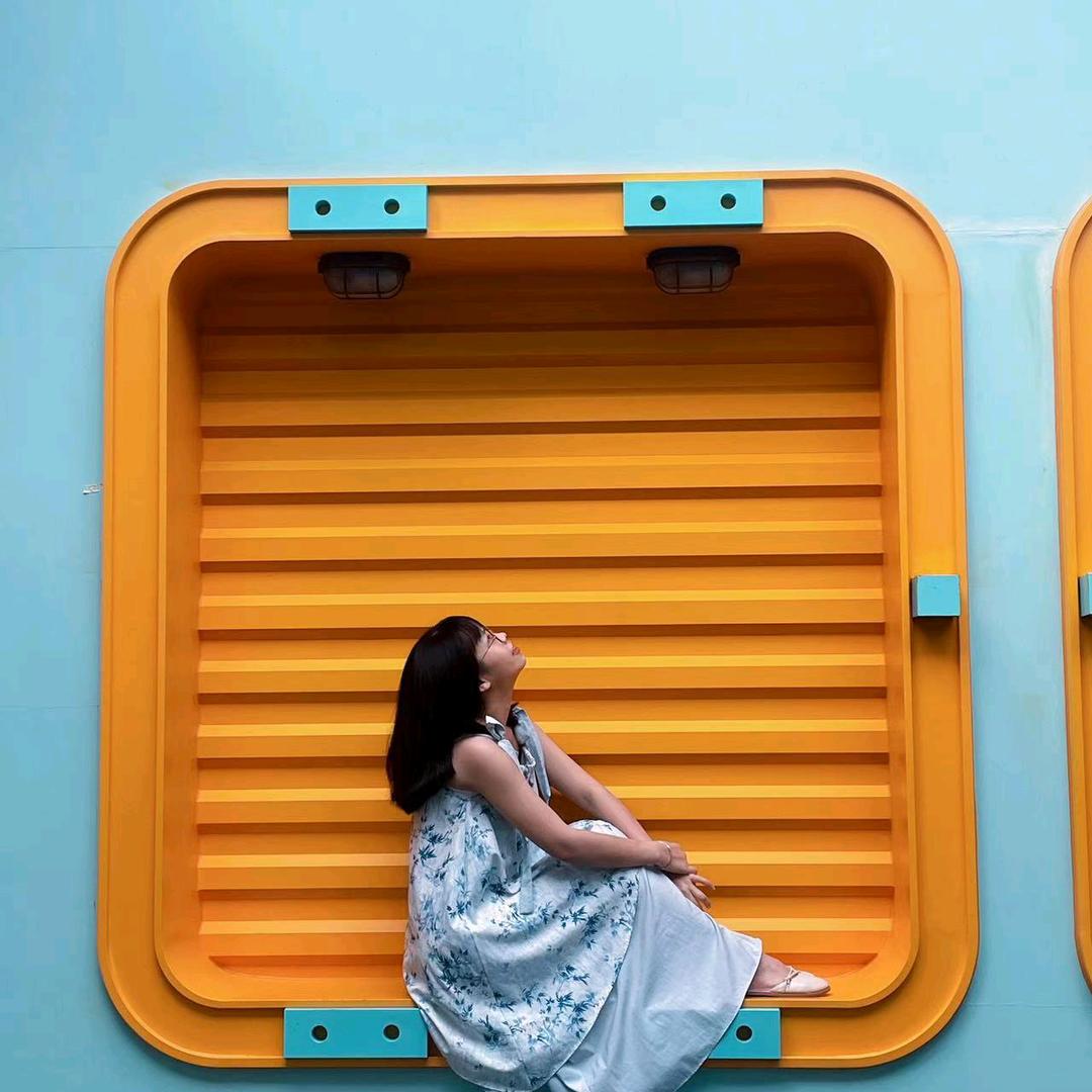 安安是只狸花猫