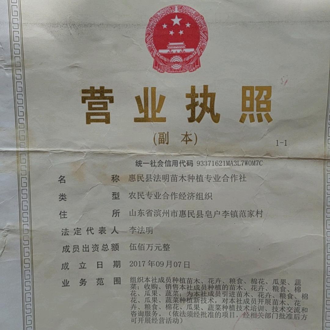 法明苗木合作社