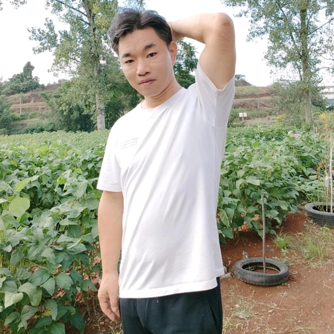 菜板哥·