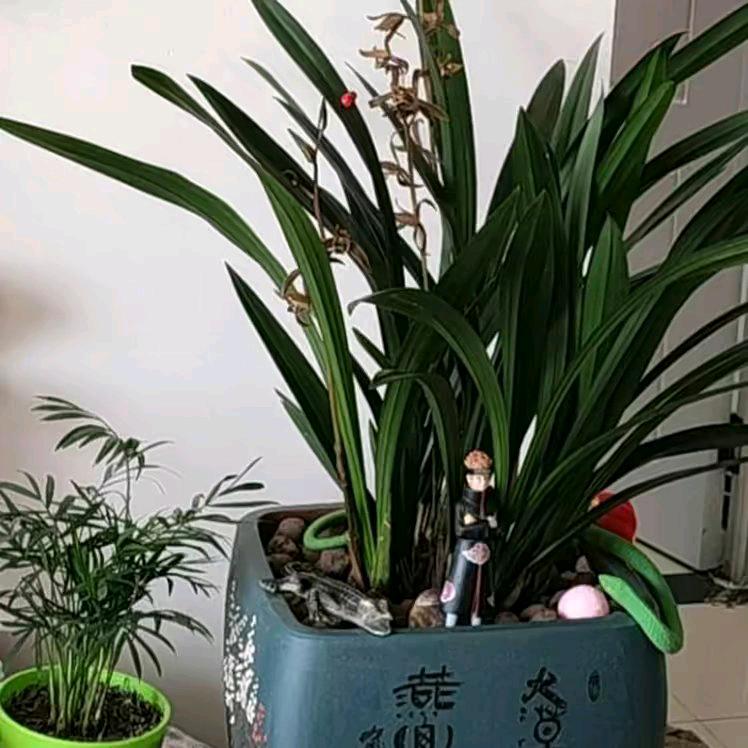 三冬时节