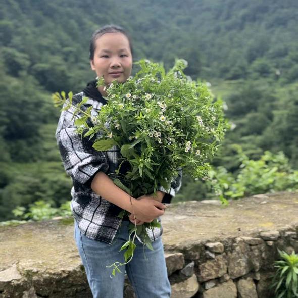 是秋巴啊