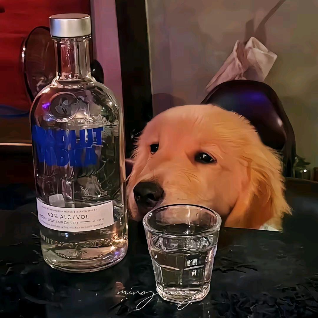 零度-