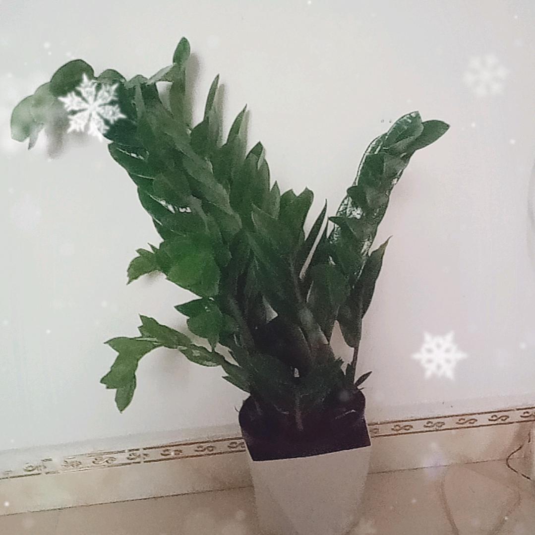 一直一组