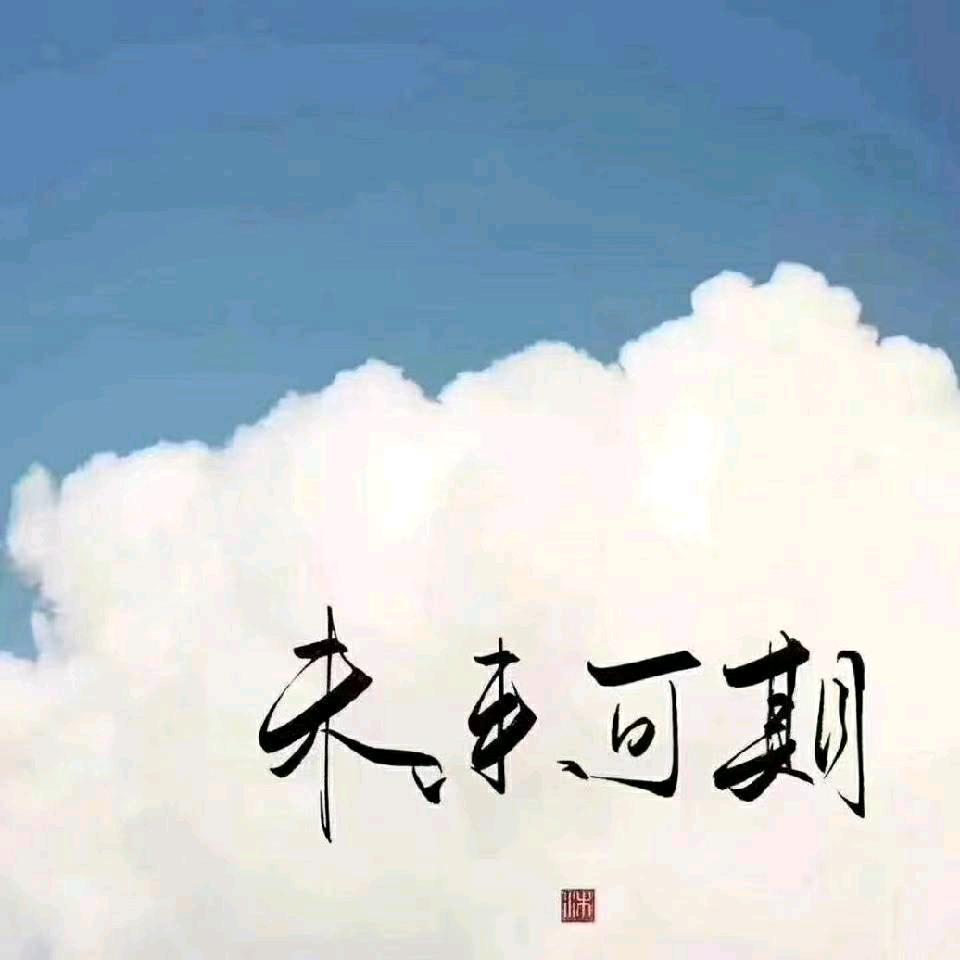 毁灭吧我累了