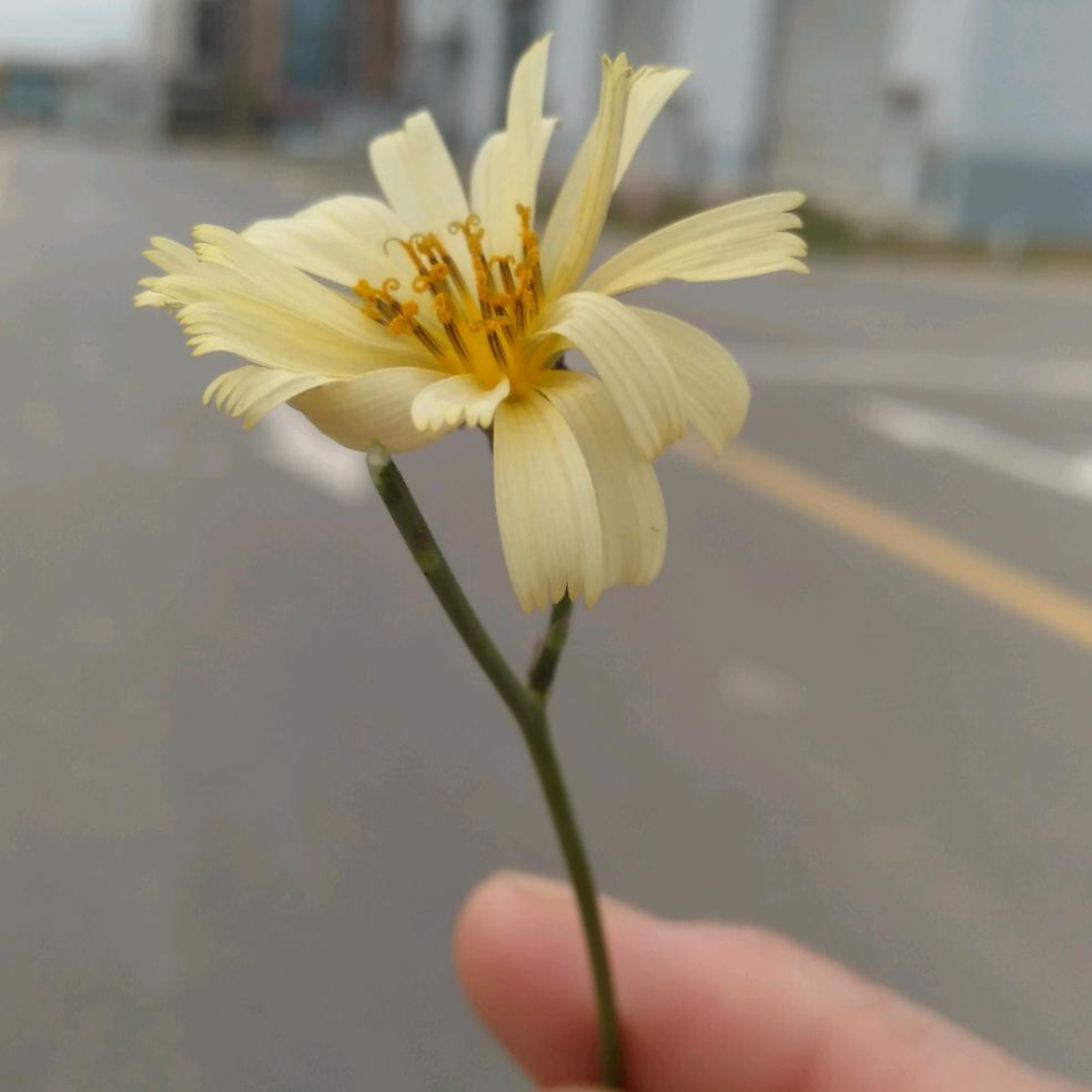 🎶许你🍁一生🎐🎶