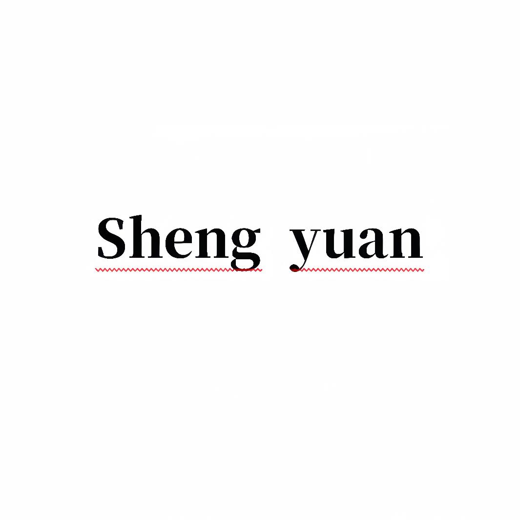 盛源 小个子女鞋