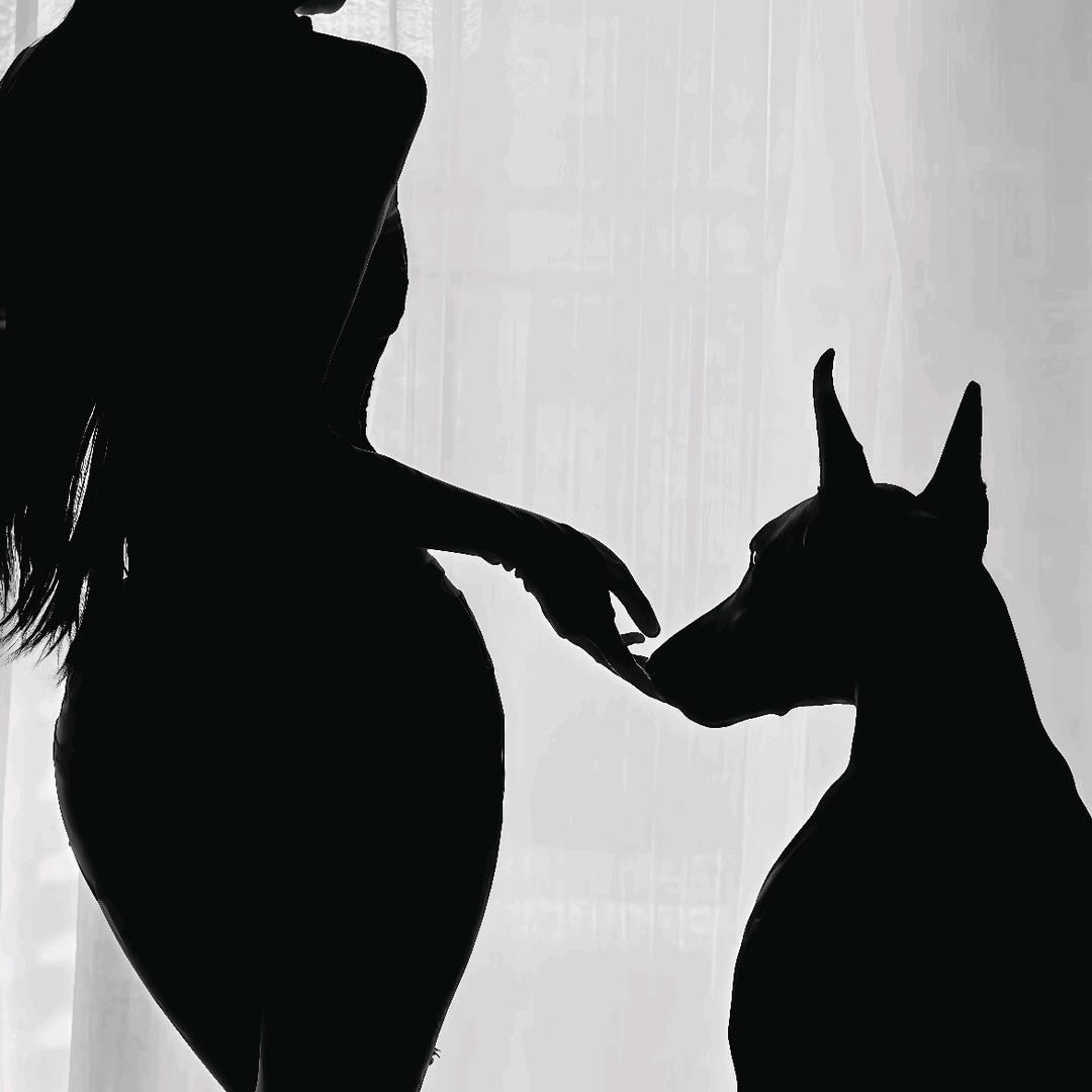 月光超载🌙