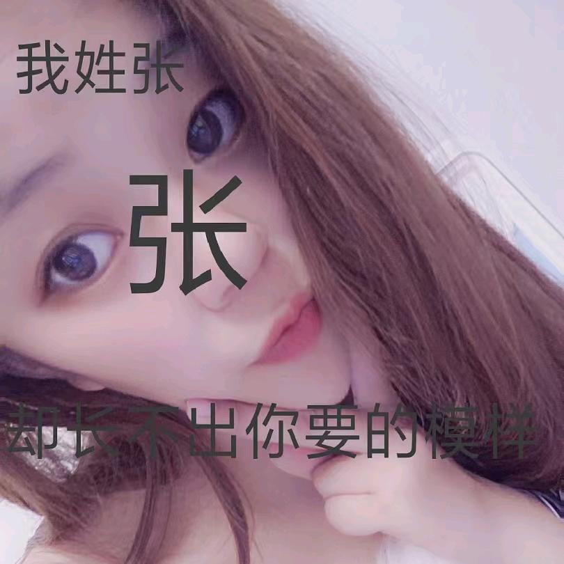 紫陀螺杨花