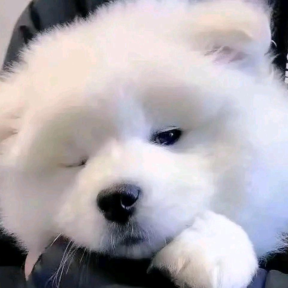 仙图吧