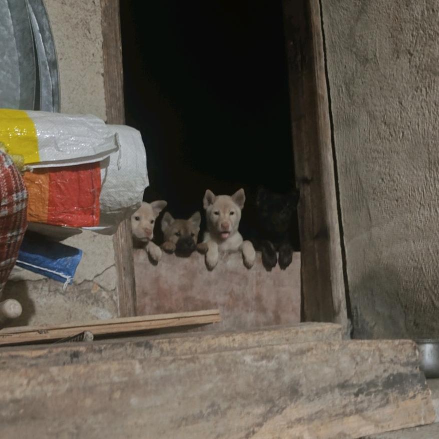 ㅤ幻觉（关注我才可私）