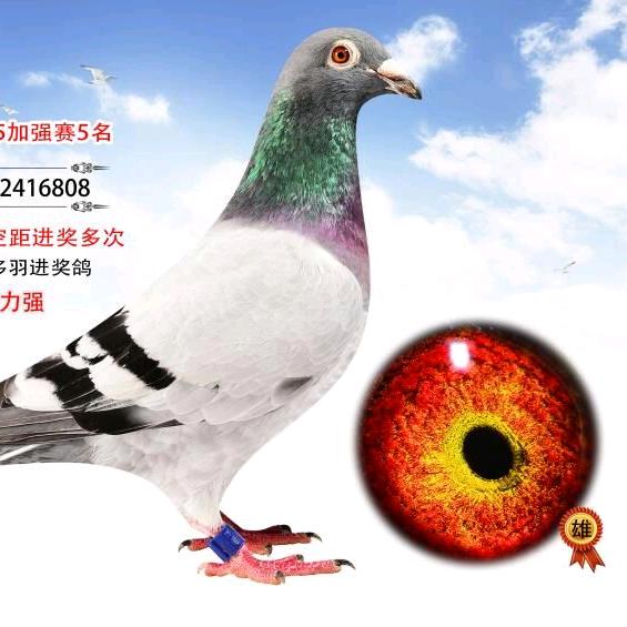 *(^o^)/*心想🌺事陈