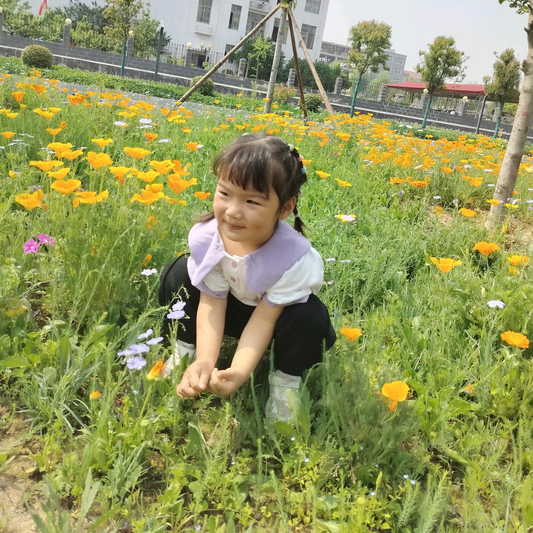 无语哥