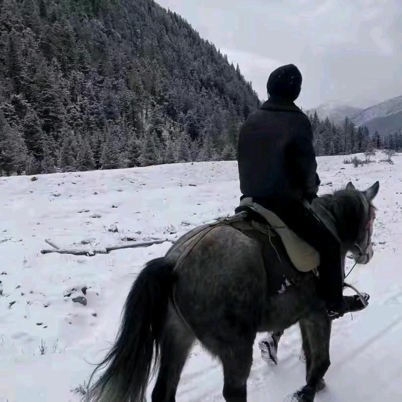 中越国际物流运输