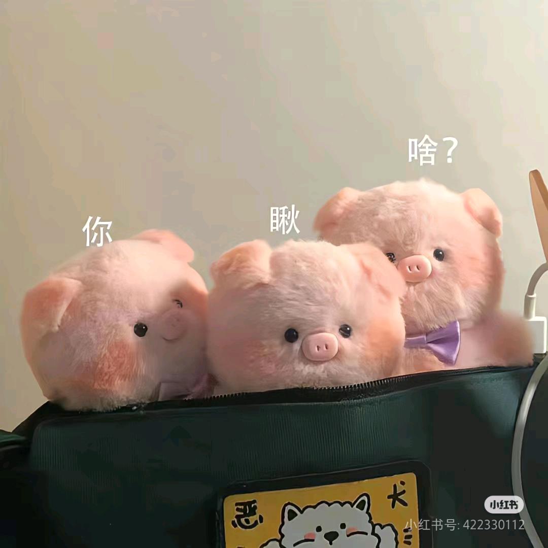 小兔皎布丁